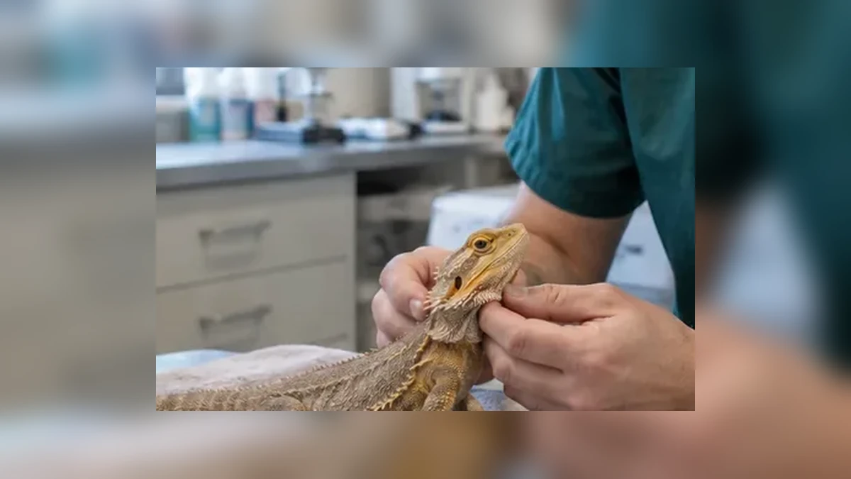Reptiel