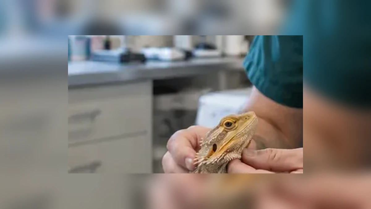 Reptiel